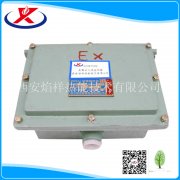 防爆電離式火焰監(jiān)